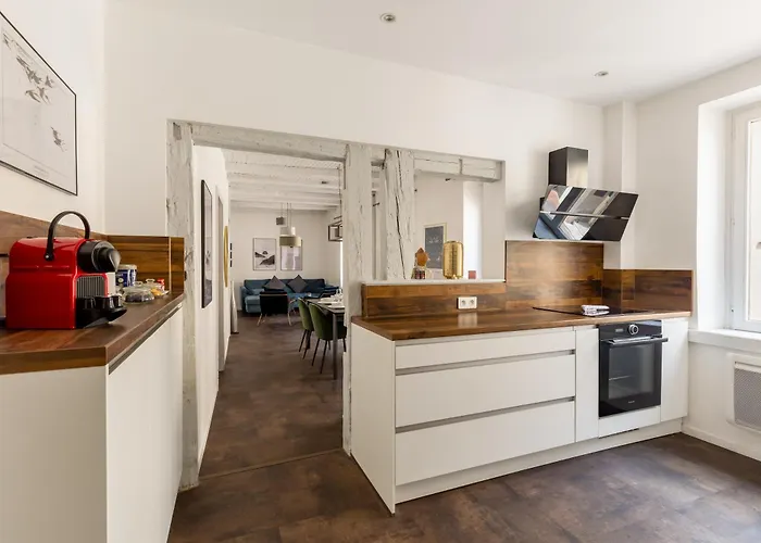 Travel Homes - The Rokst: Rare, And Modern Apartment Colmar